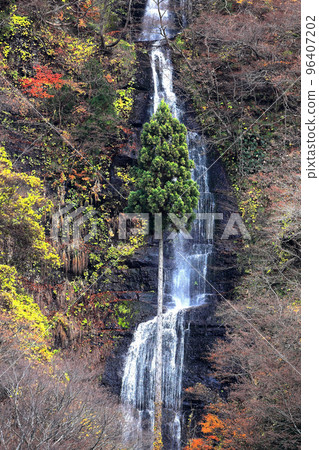 Mogami River, one of Japan's top 3 rapids Shiraito Falls Mogami River, one of Japan's top 3 rapids Shiraito Falls 96407202