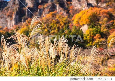 《群馬縣》秋季妙義山・紅葉季 96407284