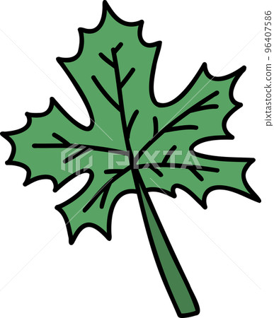 Hand Drawn leaf illustration 96407586