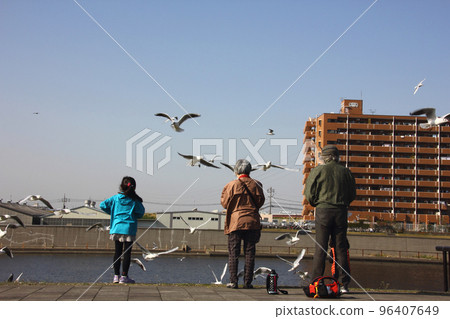 隅田川上的海鷗和孩子們。如果你餵牠們，即使是老人也會餵牠們精力充沛。海鷗張開翅膀飛來飛去 96407649