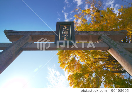 大銀杏2 大銀杏2 96408605