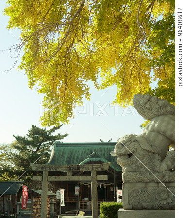 神社和銀杏樹 神社和銀杏樹 96408612