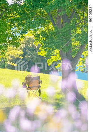 A green park with chairs in the shade A green park with chairs in the shade 96409284