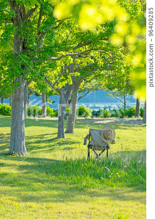 A green park with chairs in the shade 96409285