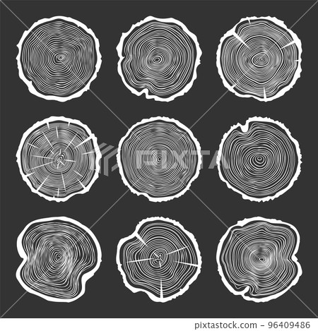 White round tree trunk cuts with cracks, sawn pine or oak slices, lumber. Saw cut timber, wood. Wooden texture with tree rings. Hand drawn sketch. Vector illustration 96409486