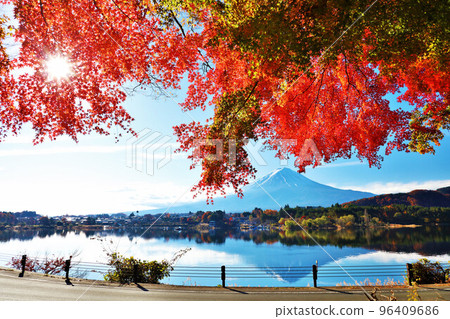 Autumn leaves and Mt. Fuji Autumn leaves and Mt. Fuji 96409686