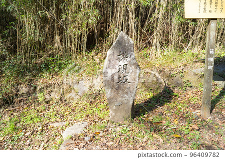 箱根古道權現坂(箱根) 箱根古道權現坂(箱根) 96409782