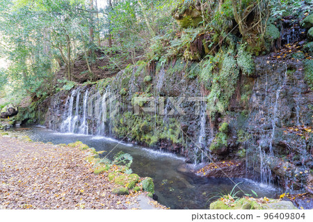 千筋瀑布（箱根） 96409804