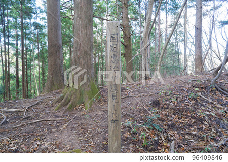 國貞中二在牧木山的登山道上遠遠看到的地方（東京都日野原村） 96409846