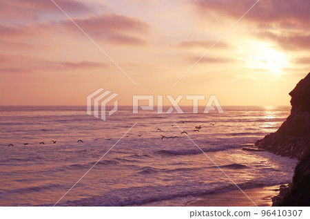 夕陽下飛翔的鳥群 V時飛鳥 海面上飛翔的鵜鶘 96410307