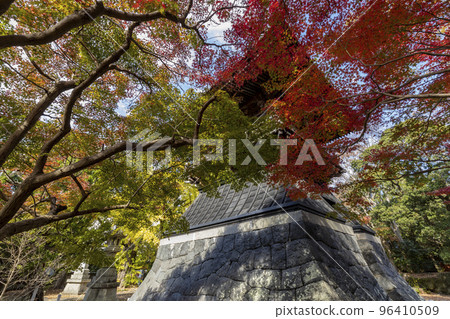 Autumn leaves of Anshoji Temple [Kanaya Town, Isahaya City, Nagasaki Prefecture] 96410509