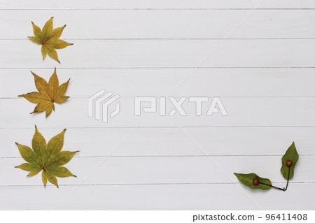 Autumn leaves maple wood grain background material Autumn leaves maple wood grain background material 96411408