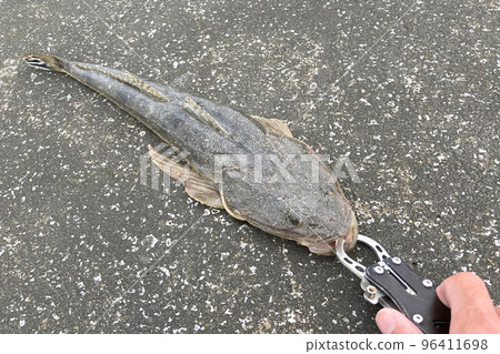 Magochi and fish grip　 96411698