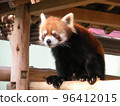 一個動物園 96412015