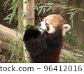 一個動物園 96412016