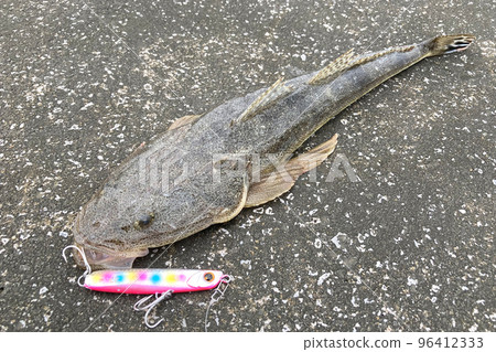 Magochi and lure (metal jig) 96412333