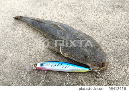 Magochi and lure (minnow plug) 96412656