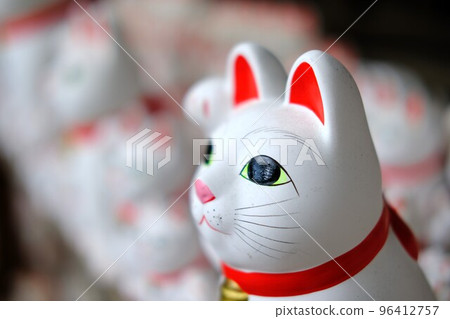 The lucky cat of Futatsukuji 96412757