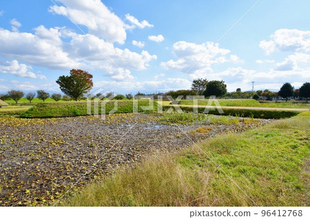 Yasumaru Castle Honmaru seen from Ninomaru 96412768