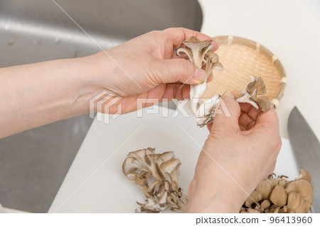 [A middle-aged housewife splits a maitake] 96413960