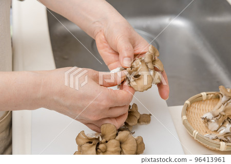 [A middle-aged housewife splits a maitake] 96413961