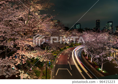 東京中城的櫻花樹夜景 96415223