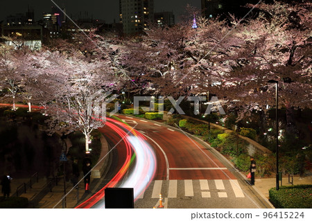 Night view of cherry blossom trees in Tokyo Midtown Night view of cherry blossom trees in Tokyo Midtown 96415224