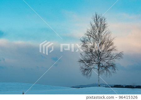 Winter scenery of Biei Hill Tourism image of Biei Town, Hokkaido Winter scenery of Biei Hill Tourism image of Biei Town, Hokkaido 96415326