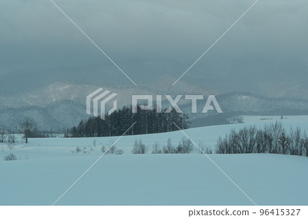 Winter scenery of Biei Hill Tourism image of Biei Town, Hokkaido Winter scenery of Biei Hill Tourism image of Biei Town, Hokkaido 96415327