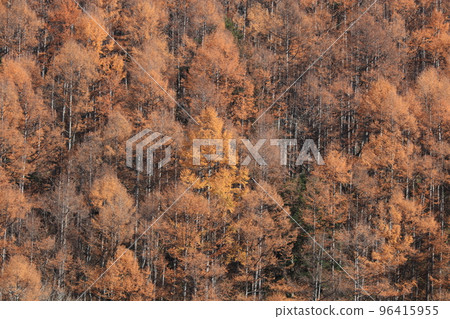 Autumn highland scenery Autumn highland scenery 96415955