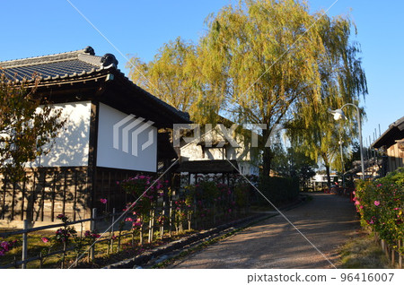 The bamboo fence of an old private house, Nanbata Castle Park The bamboo fence of an old private house, Nanbata Castle Park 96416007