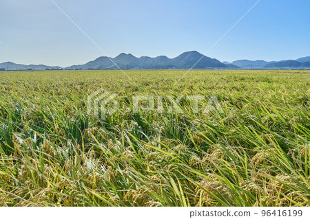 Rural Land Blessings of the Earth Rural Land Blessings of the Earth 96416199