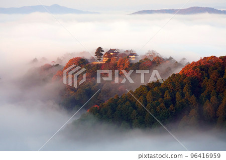 Castle in the Sky 2422- Castle in the Sky 2422- 96416959