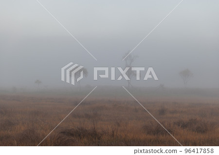 秋天的尾瀨 夢幻般的早晨風景 秋天的尾瀨 夢幻般的早晨風景 96417858