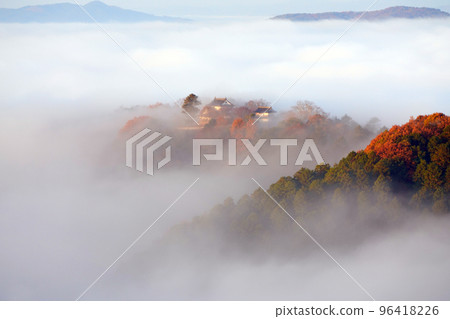 天堂城堡2434 96418226