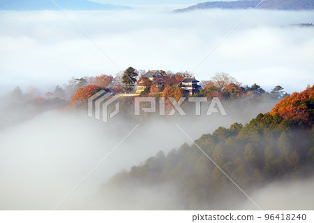 天堂城堡2499 96418240