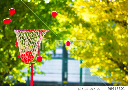 Ball basket 96418801