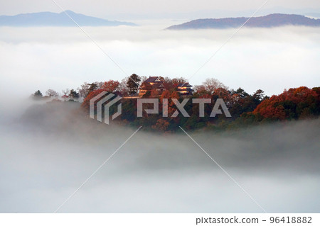 Castle in the Sky 2404- Castle in the Sky 2404- 96418882