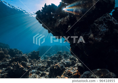 Underwater scene with corals, fish and sun rays. Tropical sea 96418955