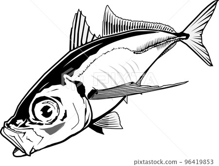 竹莢魚 竹莢魚 96419853