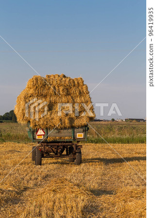 Straw hay bales on a trailer 96419935