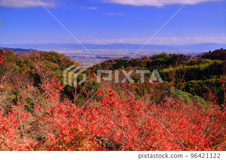 View of Kashiwara city from Chogosonshi-ji Temple (Ikoma City, Nara Prefecture) 96421122