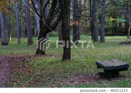 Photo: 在秋天的光中，在森林的長凳上，在大地色系中 96421225