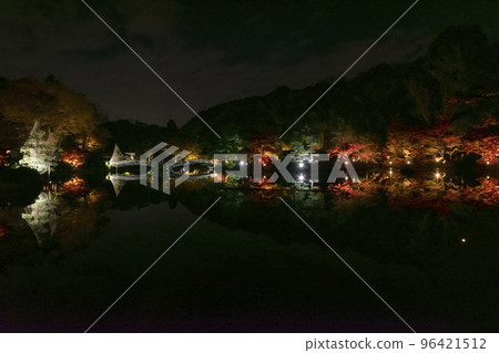 藥師池點燈 藥師池點燈 96421512