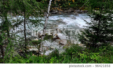 Stream among the trees 96421858