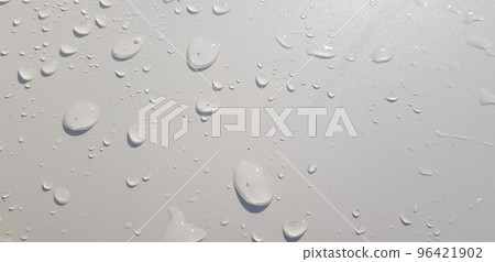 closeup nature view of green leaf and palms background. tropical plants, tropical leaf closeup nature view of green leaf and palms background. tropical plants, tropical leaf 96421902