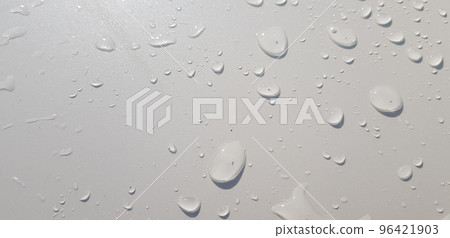 closeup nature view of green leaf and palms background. tropical plants, tropical leaf closeup nature view of green leaf and palms background. tropical plants, tropical leaf 96421903