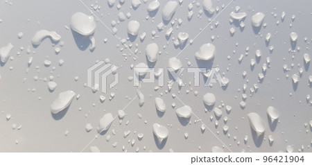 closeup nature view of green leaf and palms background. tropical plants, tropical leaf closeup nature view of green leaf and palms background. tropical plants, tropical leaf 96421904