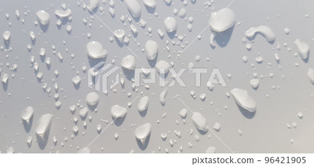 closeup nature view of green leaf and palms background. tropical plants, tropical leaf closeup nature view of green leaf and palms background. tropical plants, tropical leaf 96421905