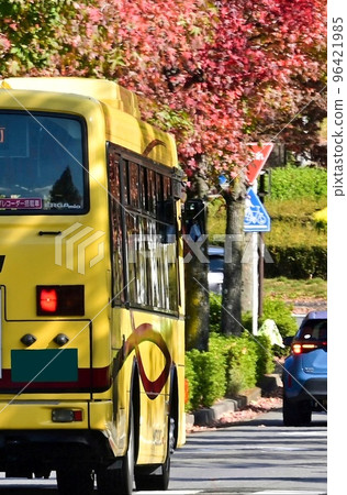[Kyoto] Yellow Yasaka Bus is beautiful with bright red maple trees. 96421985